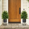 2-Pack Artificial Cedar Topiary Ball Tree with Cement Pot - Green