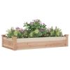 Garden Raised Bed with Liner 47.2"x23.6"x9.8" Solid Wood Fir - Brown