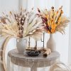 109pcs Natural Dried Pampa Grass Bouquet Large Phragmites Dried Flower Boho Home Decor Bouquet Room Holiday Wedding Party Decor - 109pcs - China