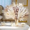 109pcs Natural Dried Pampa Grass Bouquet Large Phragmites Dried Flower Boho Home Decor Bouquet Room Holiday Wedding Party Decor - 109pcs - China